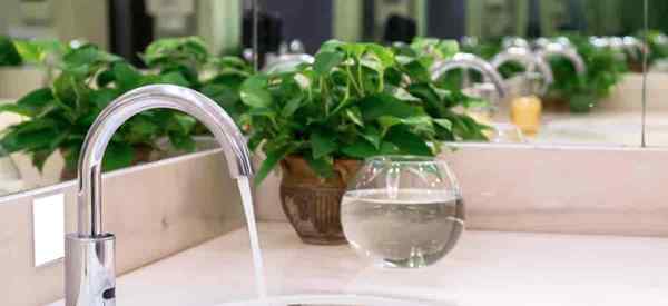 7 formas decorativas de exhibir plantas en el baño