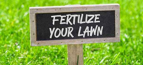 Cómo consejos para comprar el mejor fertilizante de césped para su patio