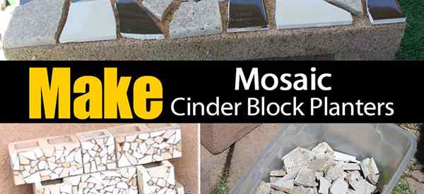 Cara Membuat Penanam Blok Cinder Mosaic