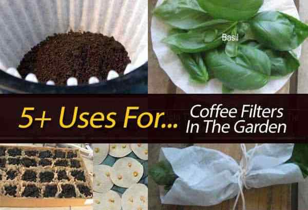 5+ usos para filtros de café no jardim