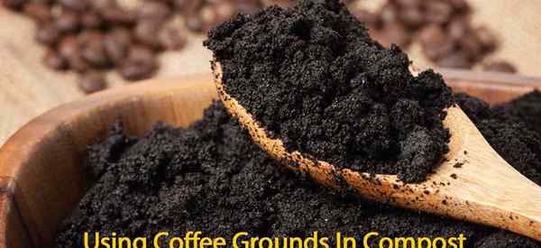 Wie man Kaffeegelände kompostiert, eine Anleitung