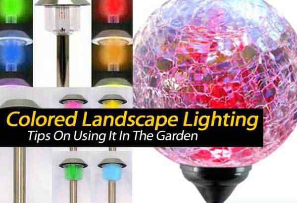 Conseils sur l'utilisation d'éclairage de paysage coloré dans le jardin