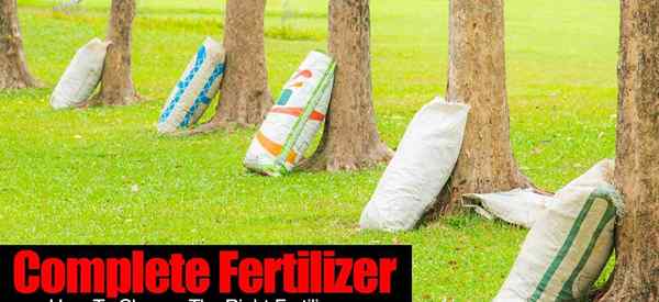 Fertilizante completo cómo elegir el fertilizante adecuado