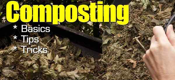 Kompostierung - Grundlagen, Tipps und Tricks