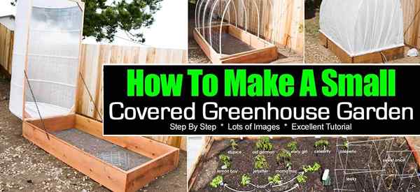 Cómo hacer un pequeño jardín de invernadero cubierto