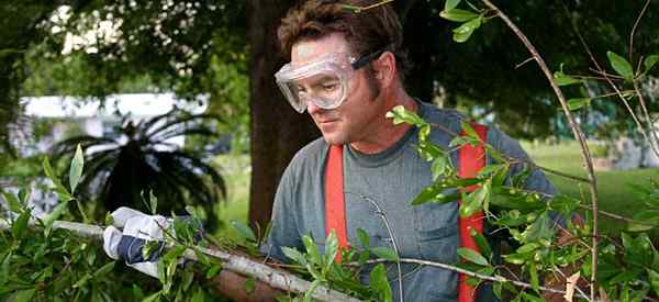 Como proteger seus olhos enquanto trabalha no jardim