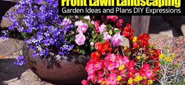 Front Lawn Landscaping Garden Ideas e Planos Expressões DIY