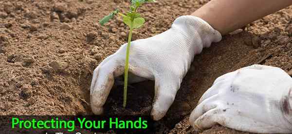 Luvas de jardim - como proteger suas mãos no jardim