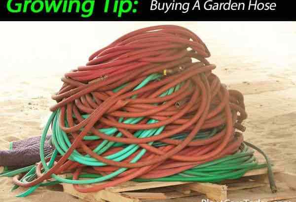 Conseils pour acheter un tuyau de jardin