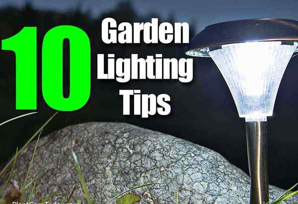 10 Consejos de iluminación de jardín #3 - Cómo usar mejor los focos en el paisaje