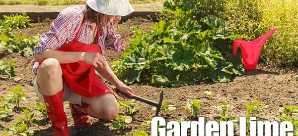 Gartenkalk für Landschaft und Limette auch für Rasenflächen!