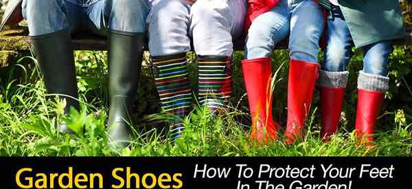 Zapatos de jardín Cómo proteger sus pies en el jardín!