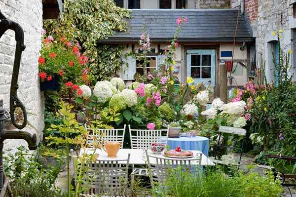 Las mejores formas de jardinería en espacios pequeños