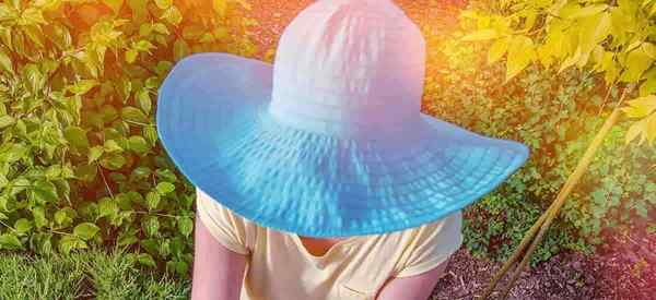 Petua pintar untuk membantu anda memilih topi matahari yang betul untuk berkebun