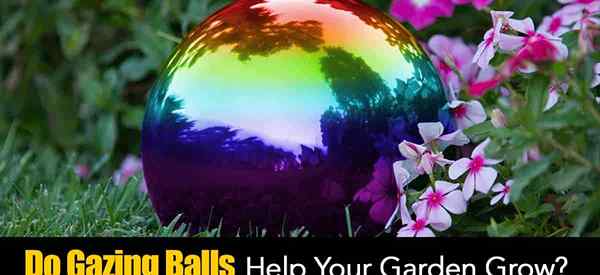 À quoi ressemblent les balles dans votre jardin