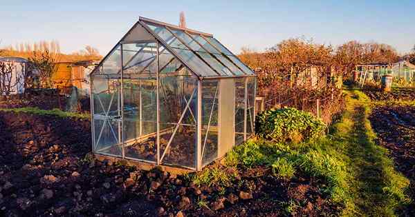 10 rumah hijau DIY terbaik dan bingkai sejuk untuk halaman belakang anda