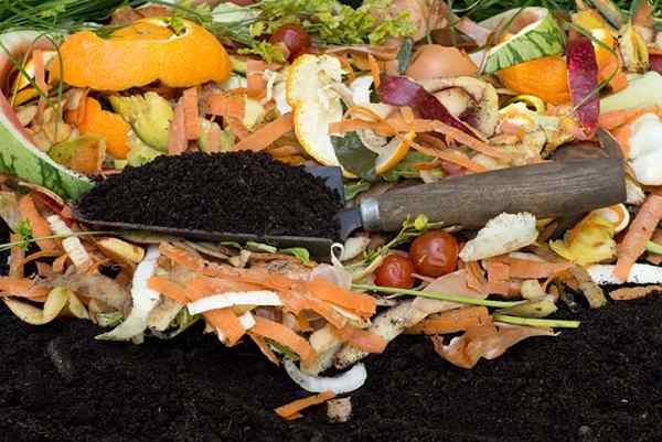 Los conceptos básicos del compostaje