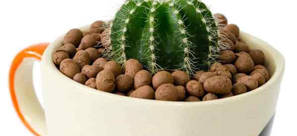 Hydroton Clay Pebbles expandidos Leca Cultivo de bolas