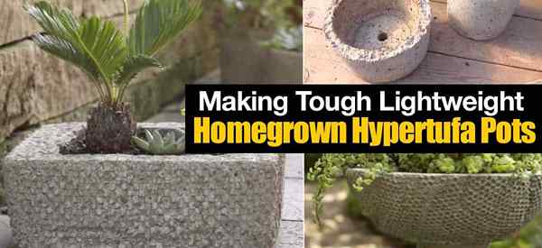 Hypertufa menjadikan periuk homegrown ringan yang sukar [bagaimana]