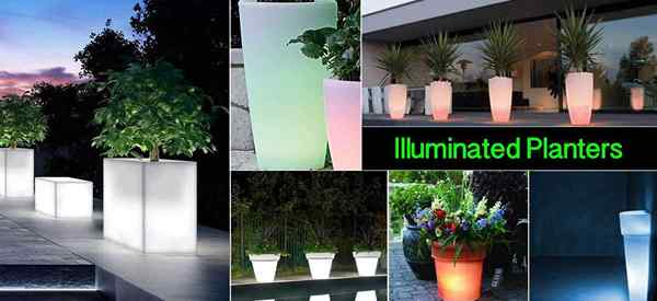 17 Beleuchtete Pflanzer, wie man einen leuchtenden romantischen Garten macht