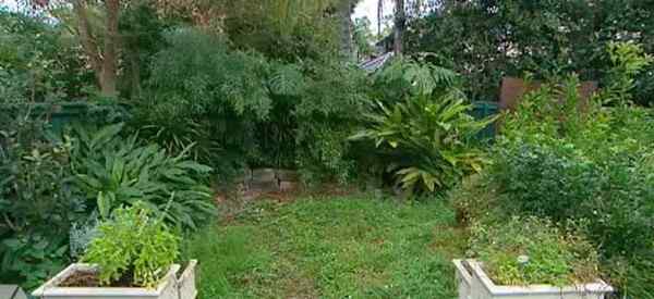 Pequeño jardín japonés transforma este patio trasero - Mira