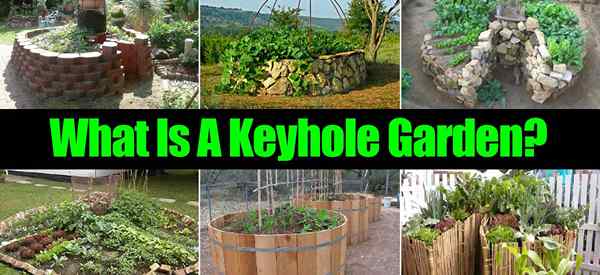 Was ist ein Schlüssellochgarten?