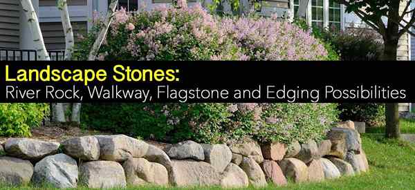 Landscape Stones River Rock, Walkway, Flagstone dan Tepi Kemungkinan