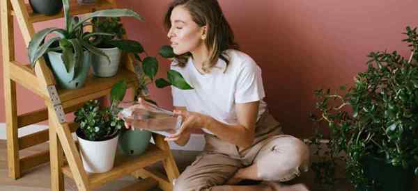 Es mala agua para las plantas, si es así, ¿por qué?