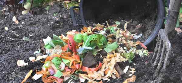 13+ Dinge, die nicht in Kompost einbringen sollten