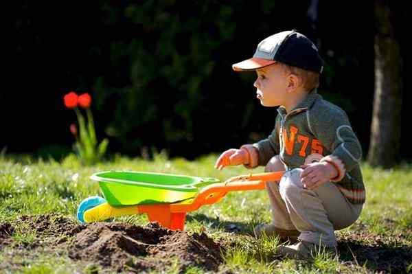 Faire démarrer les enfants avec le jardinage végétal