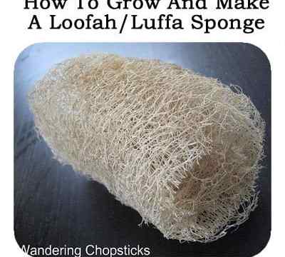 Jak rosnąć i zrobić gąbkę Loofah/Luffa