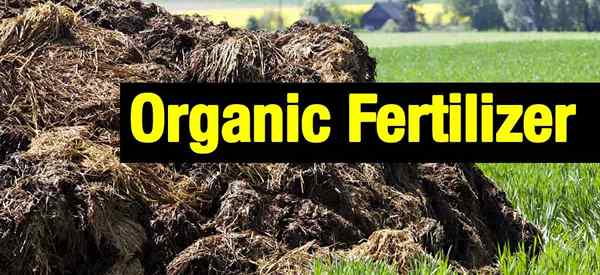 Fertilizante orgánico