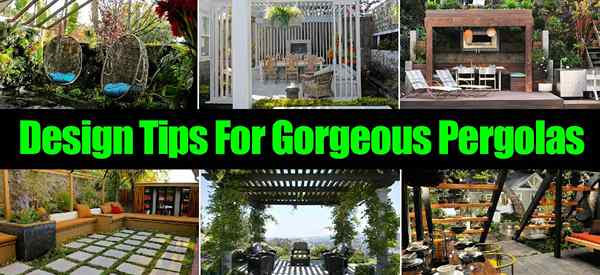 PERGOLA Design & Ideas como fazer do seu quintal um lindo ponto de encontro