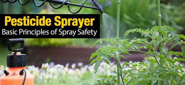 Penyemprot pestisida - Prinsip -prinsip dasar keselamatan semprotan