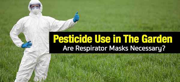 L'utilisation de pesticides dans le jardin… sont des masques respirateurs nécessaires?