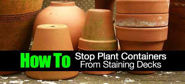 Cara menghentikan bekas tumbuhan dari dek pewarnaan