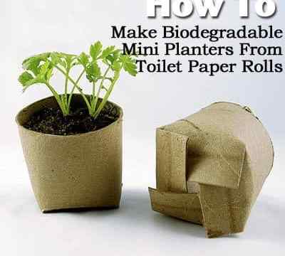 So machen Sie biologisch abbaubare Mini -Pflanzer aus Toilettenpapierrollen