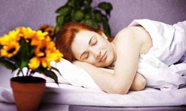 5 sebab terbukti tumbuhan di bilik tidur anda dapat membantu anda tidur lena