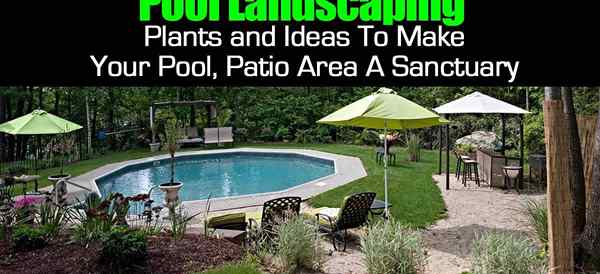 Piscina plantas e ideas para paisajes para que su piscina, área de patio sea un santuario