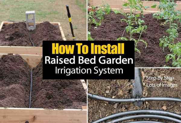 Cómo instalar un sistema de riego de jardín de cama elevado - paso a paso