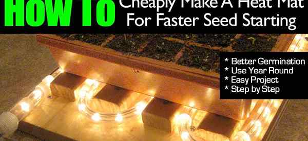 Como fazer um tapete de calor barato para uma semente mais rápida