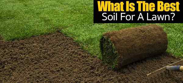 El mejor tipo de suelo para la hierba ¿de qué tipo es??