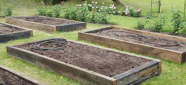 Cómo preparar su tierra para la jardinería