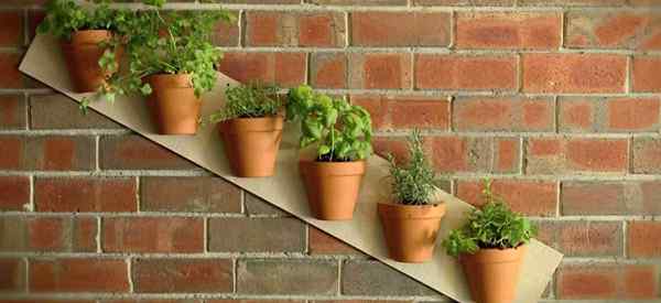 7 proyectos de olla de terraza para condimentar el jardín