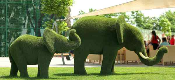 Topiary Trees and Bushes - The Lost Art of Cisming and Przycinanie