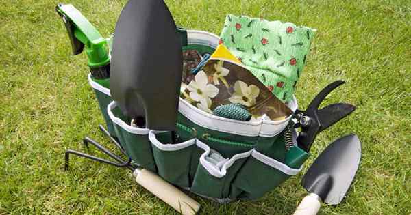 Las mejores bolsas de equipo para la revisión de bolsas de jardín de jardinería
