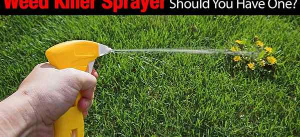 Weed Killer Sprayer - sollten Sie einen haben?