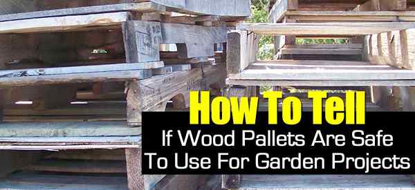 Cómo saber si las paletas de madera son seguras de usar en el jardín