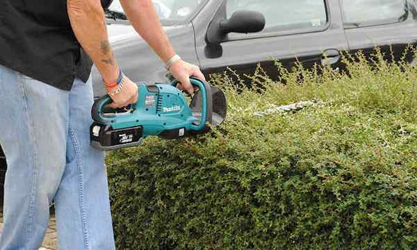 10 beste Hedge -Trimmer, um die Dinge ordentlich zu halten