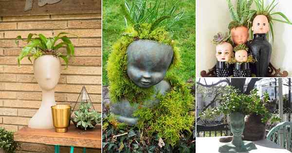 10 ideas extrañas de plantador de cabeza de bricolaje